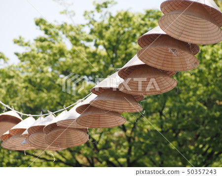 Vietnamese nonr 50357243