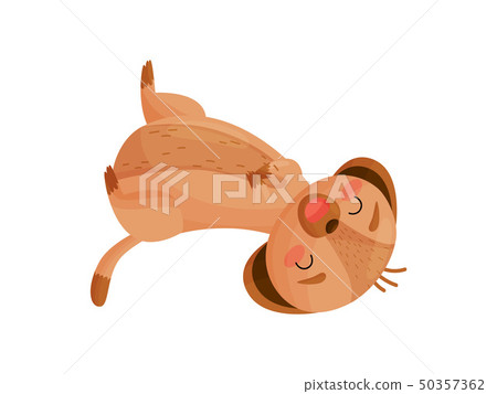 Cartoon gopher happily lying around. Vector illustration on white background. 50357362