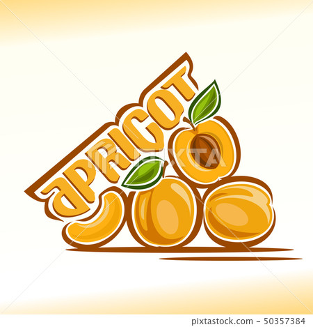 Vector logo for apricot 50357384