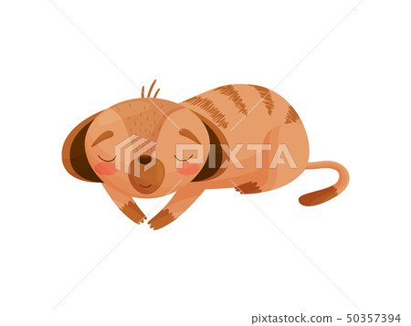 Cartoon gopher sleeps on his stomach. Vector illustration on white background. 50357394