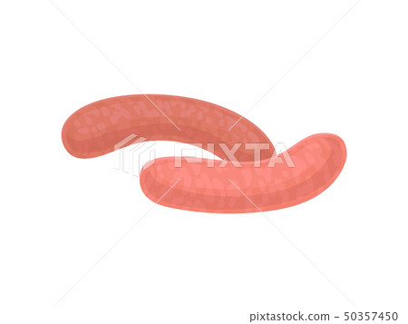 Two fresh raw sausage barbecue. Vector illustration on white background. Two fresh raw sausage barbecue. Vector illustration on white background. 50357450