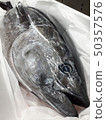 金槍魚 50357576