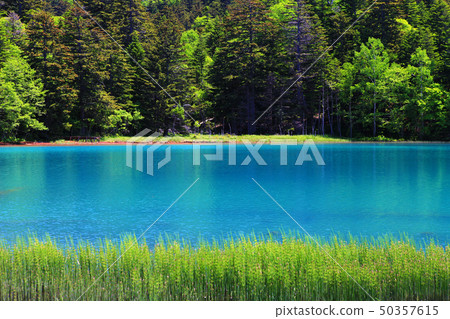 Hokkaido Onneto Hokkaido Onneto 50357615