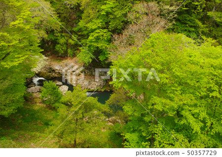 Gorge 2 (Oita Prefecture, Kuju's Town) Gorge 2 (Oita Prefecture, Kuju's Town) 50357729