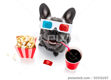 dog to the movies dog to the movies 50358207
