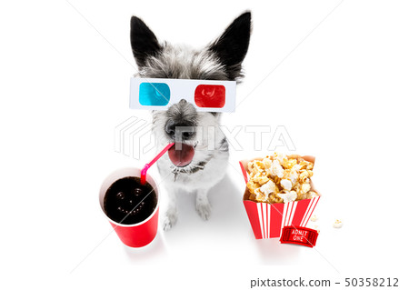 dog to the movies dog to the movies 50358212