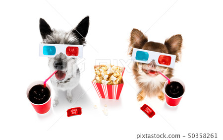 couple of dogs to the movies couple of dogs to the movies 50358261