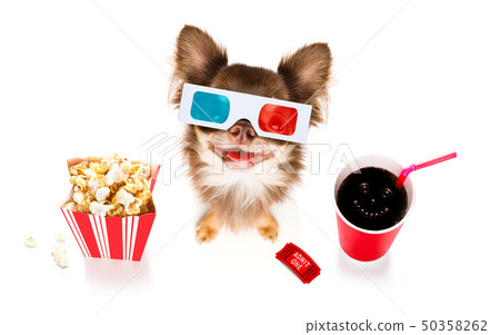 dog to the movies dog to the movies 50358262