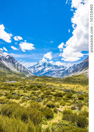Hooker Valley Truck at Mount Cook National Park Hooker Valley Truck at Mount Cook National Park 50358460