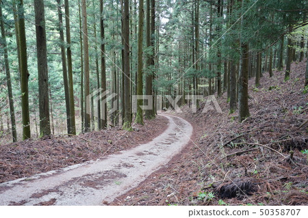 群馬縣桐生市Kurohone町Gunma Hyakumei Yamano在栗山登山入口進入Kuri神社 群馬縣桐生市Kurohone町Gunma Hyakumei Yamano在栗山登山入口進入Kuri神社 50358707