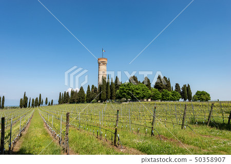 Tower of San Martino della Battaglia - Italy 50358907