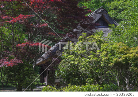新鮮的綠色yakushi池塘公園前Shino房子 新鮮的綠色yakushi池塘公園前Shino房子 50359203