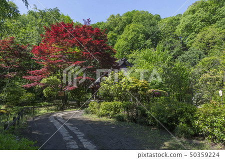 新鮮的綠色yakushi池塘公園前Shino房子 50359224