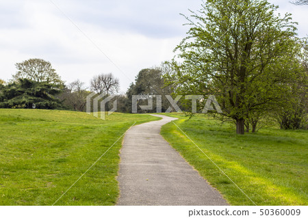 The trail in Greenwich Park, Path among green meadows and trees. The trail in Greenwich Park, Path among green meadows and trees. 50360009