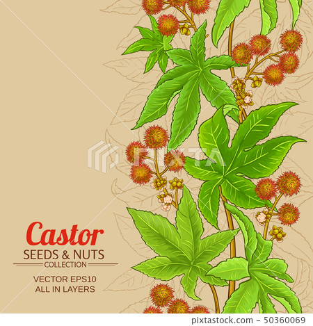 castor vector background castor vector background 50360069