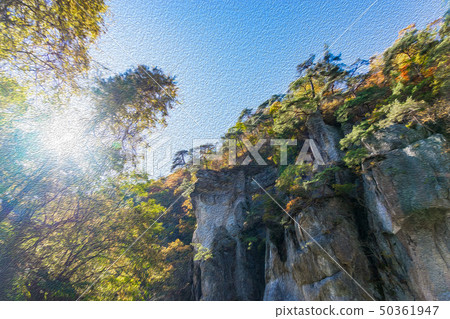 [群馬]伏木原谷 50361947