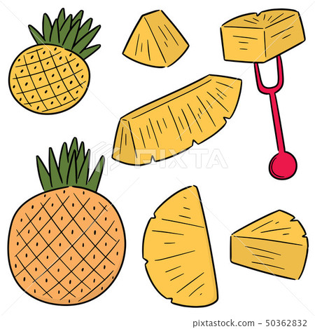 vector set of pineapple 50362832