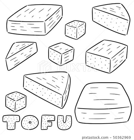 vector set of tofu 50362969