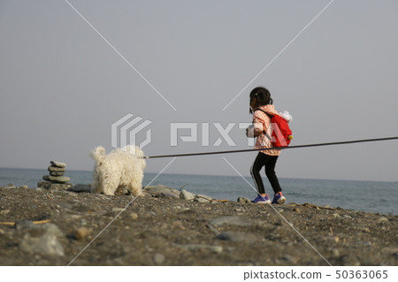 白狗女孩 50363065