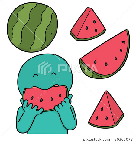 vector set of watermelon 50363078