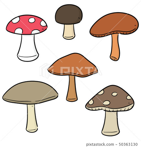vector set of mushrooms 50363130