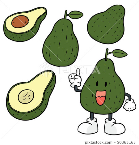 vector set of avocado 50363163