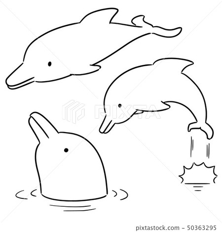 vector set of dolphin 50363295