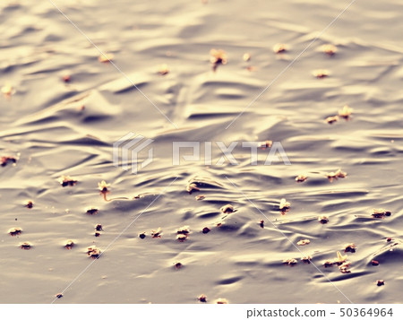 Mirroring ice. Ice in polar sun reflection. Mirroring ice. Ice in polar sun reflection. 50364964