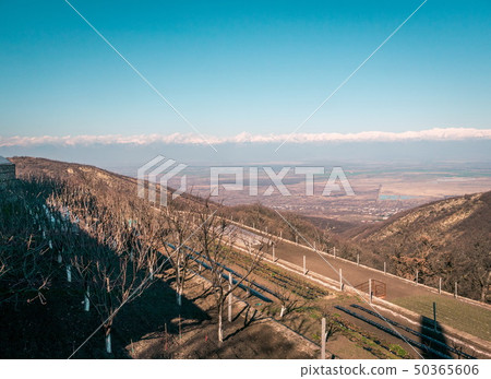 View on Alazany Valley. Kakheti.Georgia View on Alazany Valley. Kakheti.Georgia 50365606