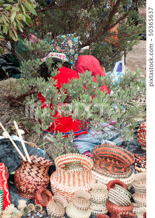 Tarahumara Indian woman - Copper Canyon - Mexico, 50365637