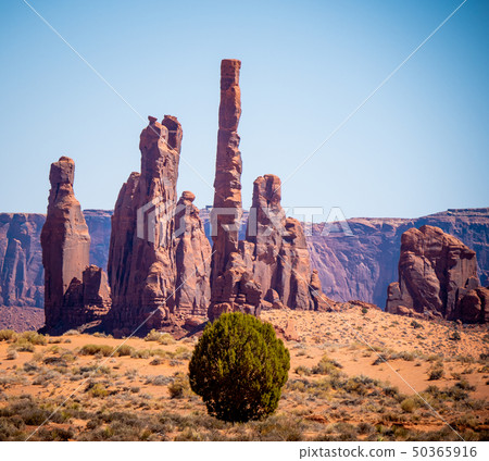 Amazing rock sculptures at Monument Valley 50365916