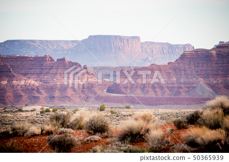 Red mountains at Canyonlands National Park 50365939