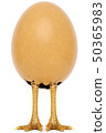 egg with golden chicken feet 50365983