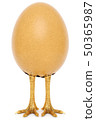 egg with golden chicken feet. isolated on a white background. 50365987