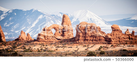 Amazing Scenery at Arches National Park in Utah 50366000