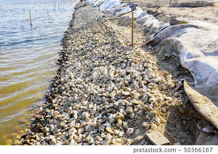Reconstruction of the embankment of the lake in Reconstruction of the embankment of the lake in 50366167