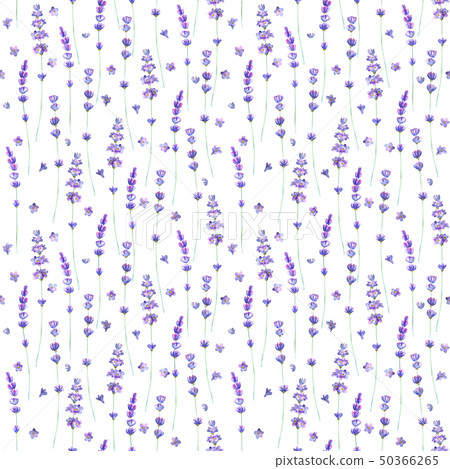 Lavender flowers watercolor seamless pattern Lavender flowers watercolor seamless pattern 50366265