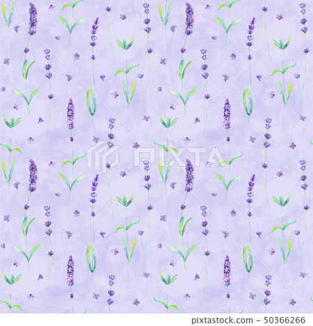 Lavender flowers watercolor seamless pattern Lavender flowers watercolor seamless pattern 50366266