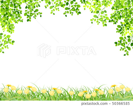 Fresh green (young leaves) 50366585