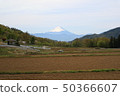 GW of Ogasazawa 50366607