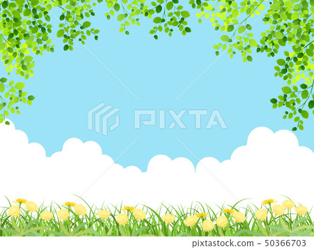 Fresh green (young leaves) 50366703