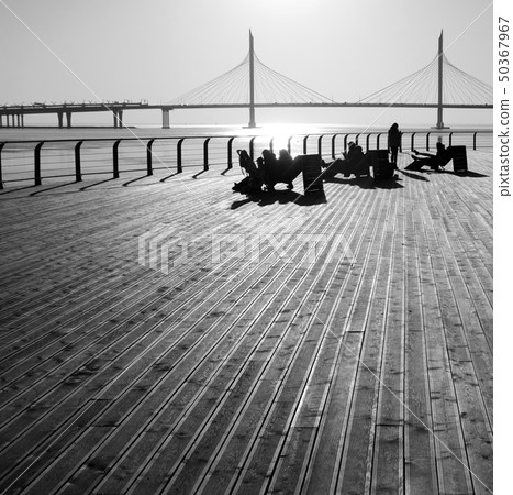 Neva river embankment and Cable-stayed bridge. 50367967