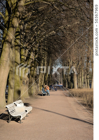 Park alley at spring. 50367969