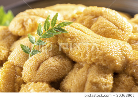 Delicious sea urchin in a small bowl 50368905