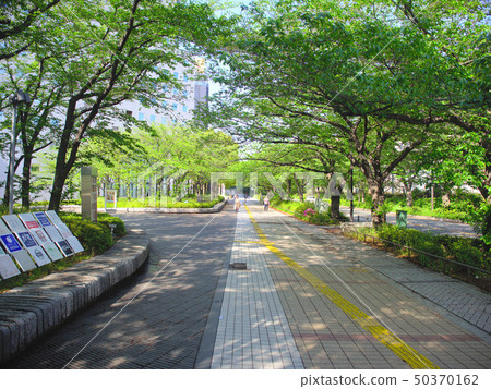 Road in front of Solid Square Road in front of Solid Square 50370162