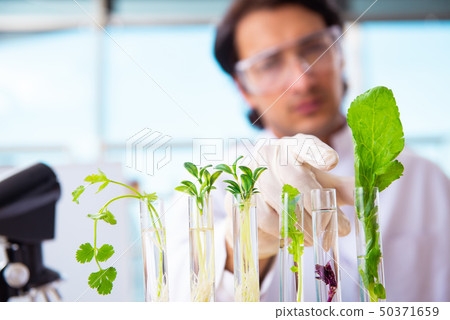 Male biotechnology scientist chemist working in the lab 50371659