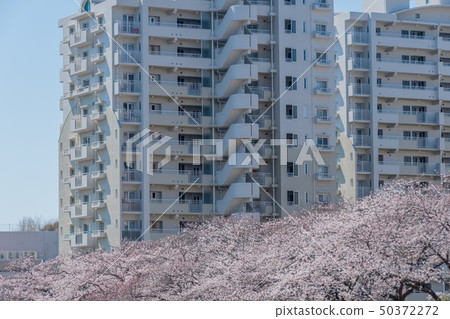 Middle Floor Complex Middle Floor Complex 50372272