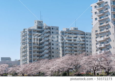 Middle Floor Complex Middle Floor Complex 50372273