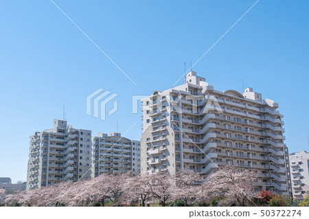 Middle Floor Complex Middle Floor Complex 50372274