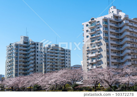 中層建築群 50372278